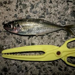 フロートアジング