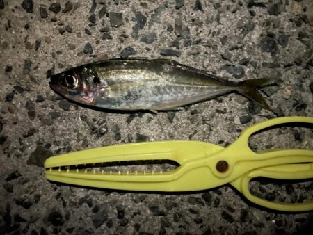 フロートアジング