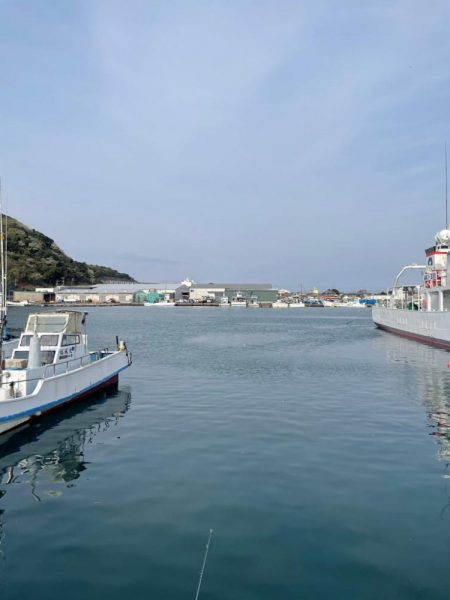 夜明け朝まずめ