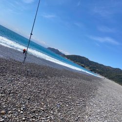 ブレードジグでサゴシ