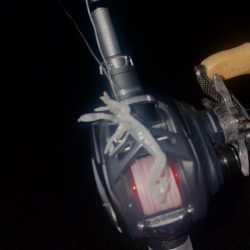 今日も仕事帰りチニング！