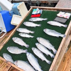 サーモン/脈釣り