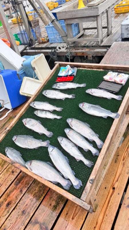 サーモン/脈釣り