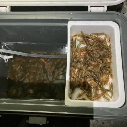 東二見メバル15