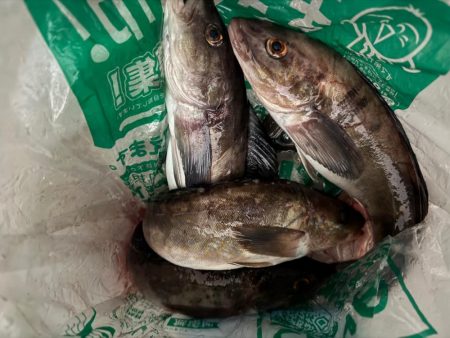 ホッケッケのケー