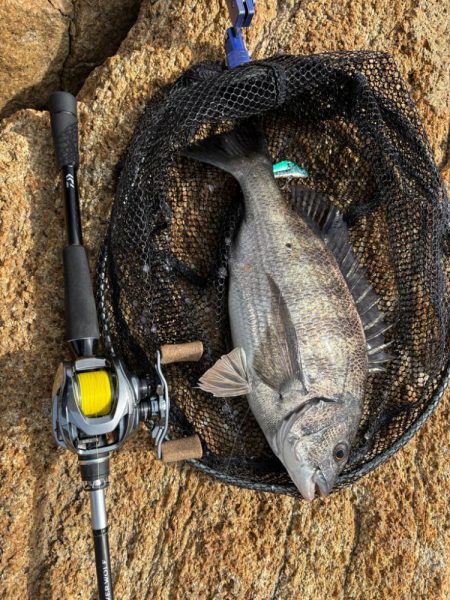 トレイシーチニング