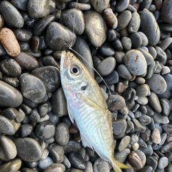 煙樹ヶ浜での釣り