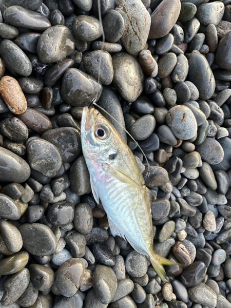 煙樹ヶ浜での釣り