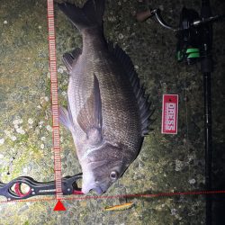 先行者さんのおかげです!!