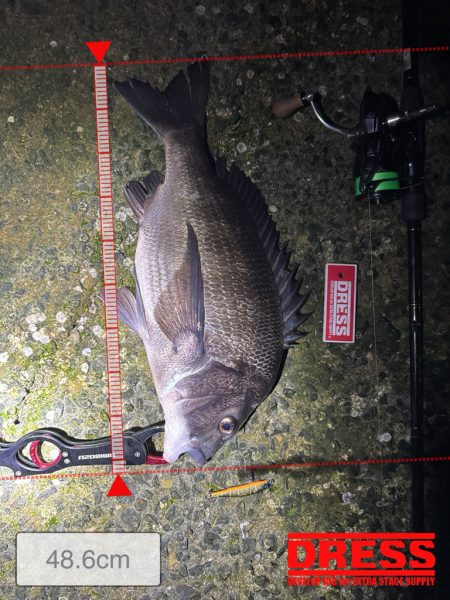 先行者さんのおかげです！！