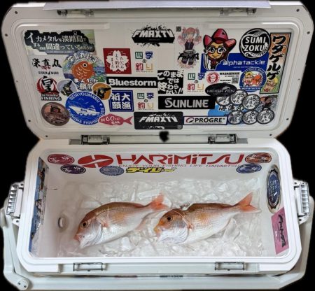 レンコ鯛/ブレードジギング