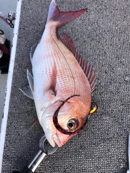 厳寒期タイラバ