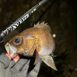 フロートメバリング!