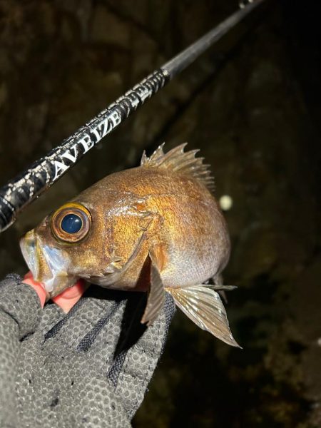 フロートメバリング！