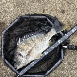 ヘチってきました