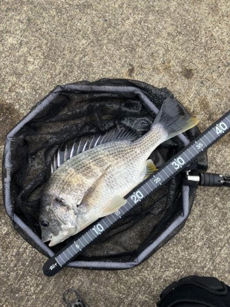 ヘチってきました