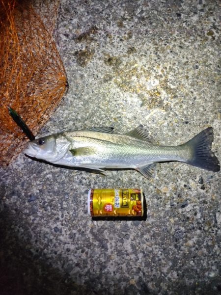 フッコ45cmと38cm