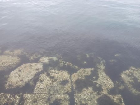 穴釣り〜淡路東浦〜2日目