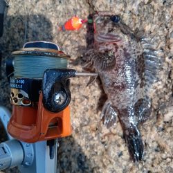 寒の戻り、穴釣り釣行