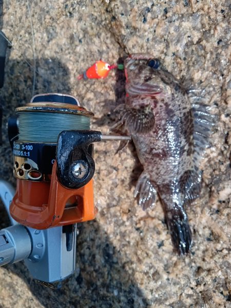 寒の戻り、穴釣り釣行