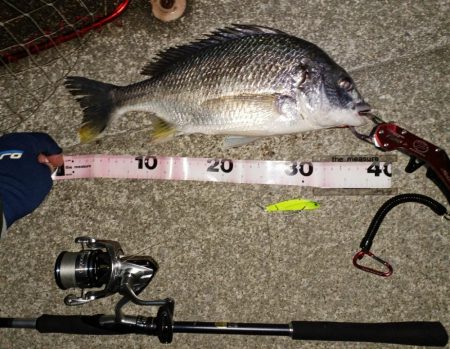 強風のなかなんとかヒット