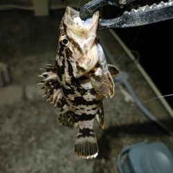 短時間ながら久しぶりの釣行