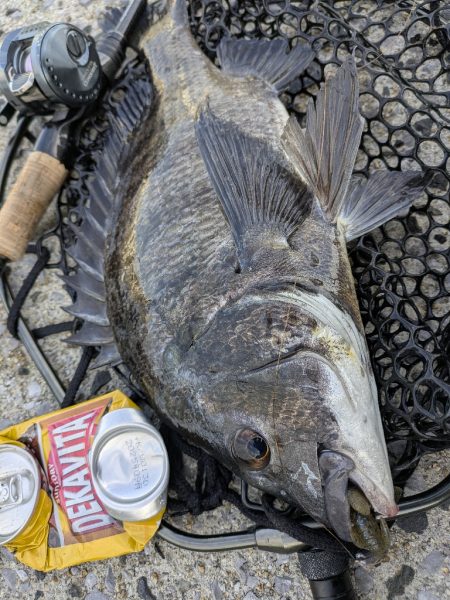激渋→夕マヅメ大逆転広島チニング