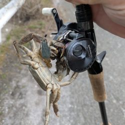 広島チニング花粉エグすぎ…