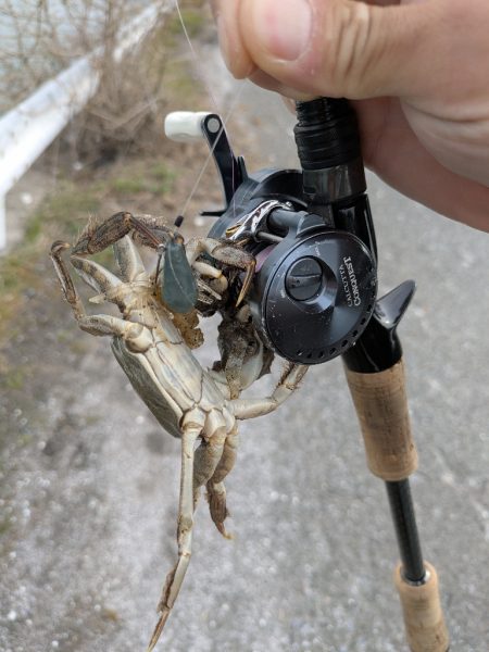 広島チニング花粉エグすぎ…