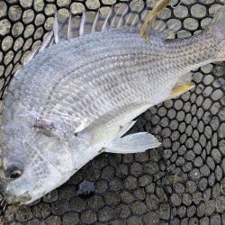 広島チニング雨パワー炸裂?