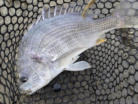 広島チニング雨パワー炸裂？