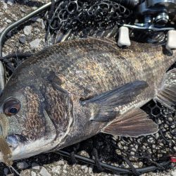 3月ラストチニング