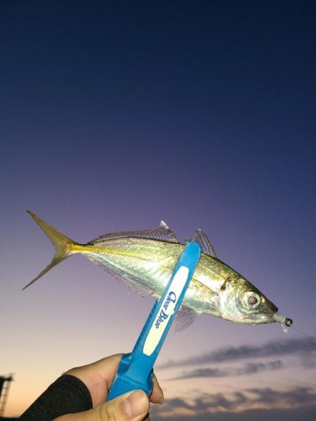 春パターンアジング