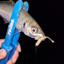 また冬に舞い戻り