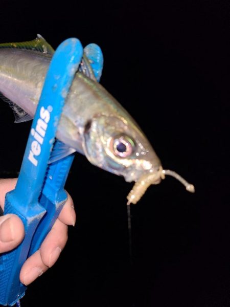 また冬に舞い戻り