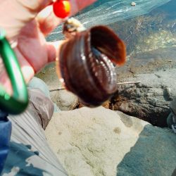 まだキスには早い…