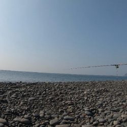 真冬らしかぬ想定外の大物