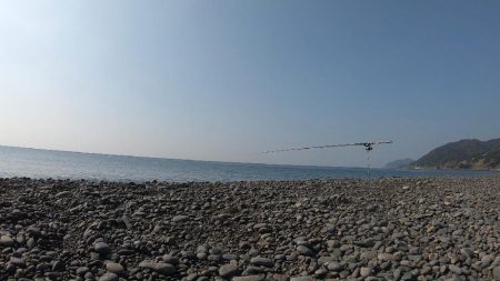 真冬らしかぬ想定外の大物