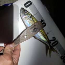 地合いわずか10分