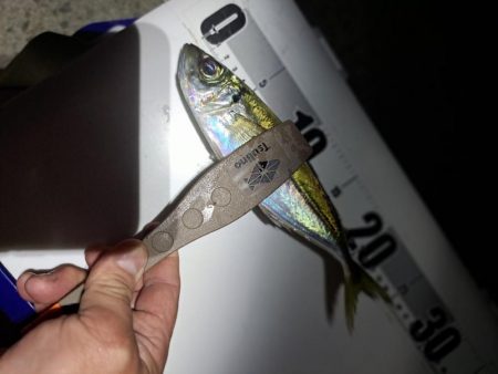 地合いわずか10分