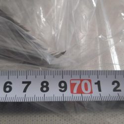 久しぶりの釣果