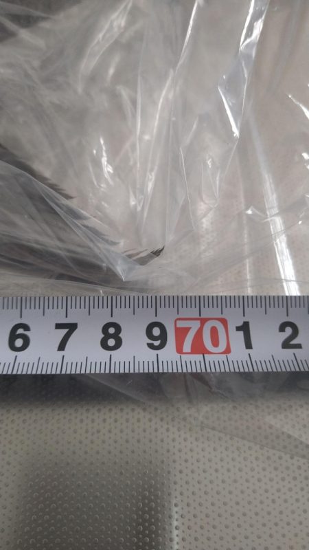 久しぶりの釣果