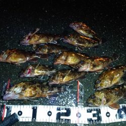 ボートメバリング