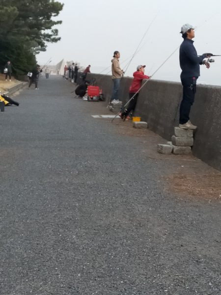 陸っぱりから今期初物