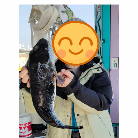 トラフグ☆えさ政より