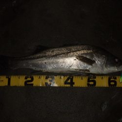 流れの効いたタイミングで