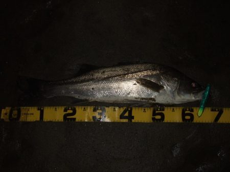 流れの効いたタイミングで