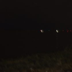 厳寒期からの河川シーバスは一旦終了