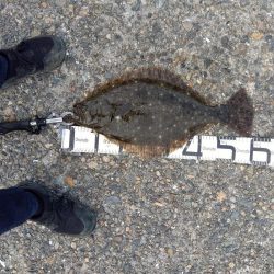 4年ぶりにネットイン