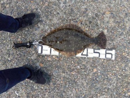 4年ぶりにネットイン